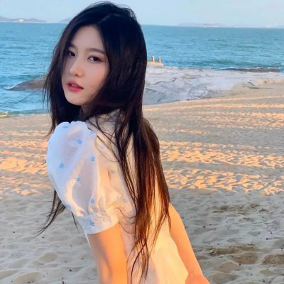盗走达文西海报