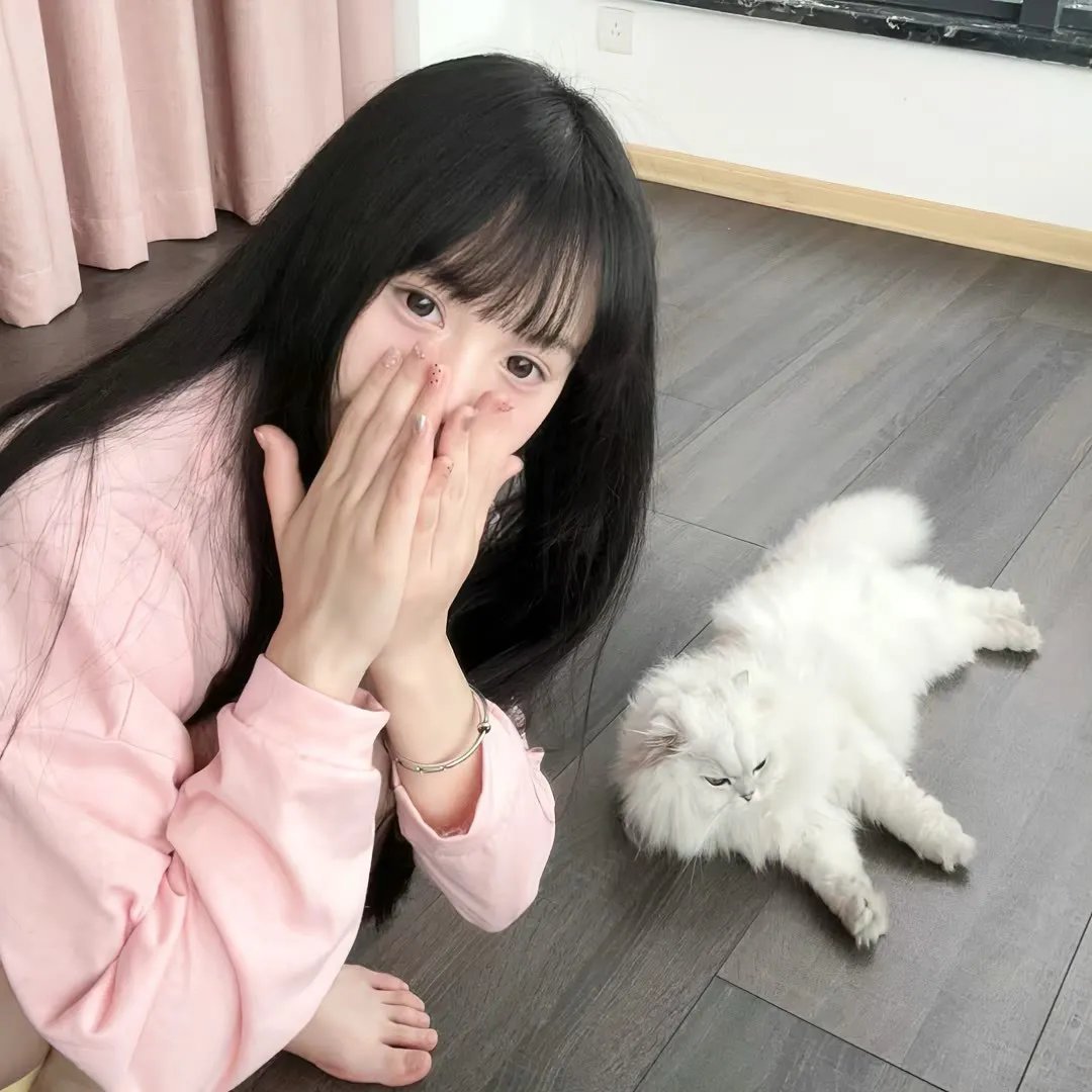朱比特之月海报